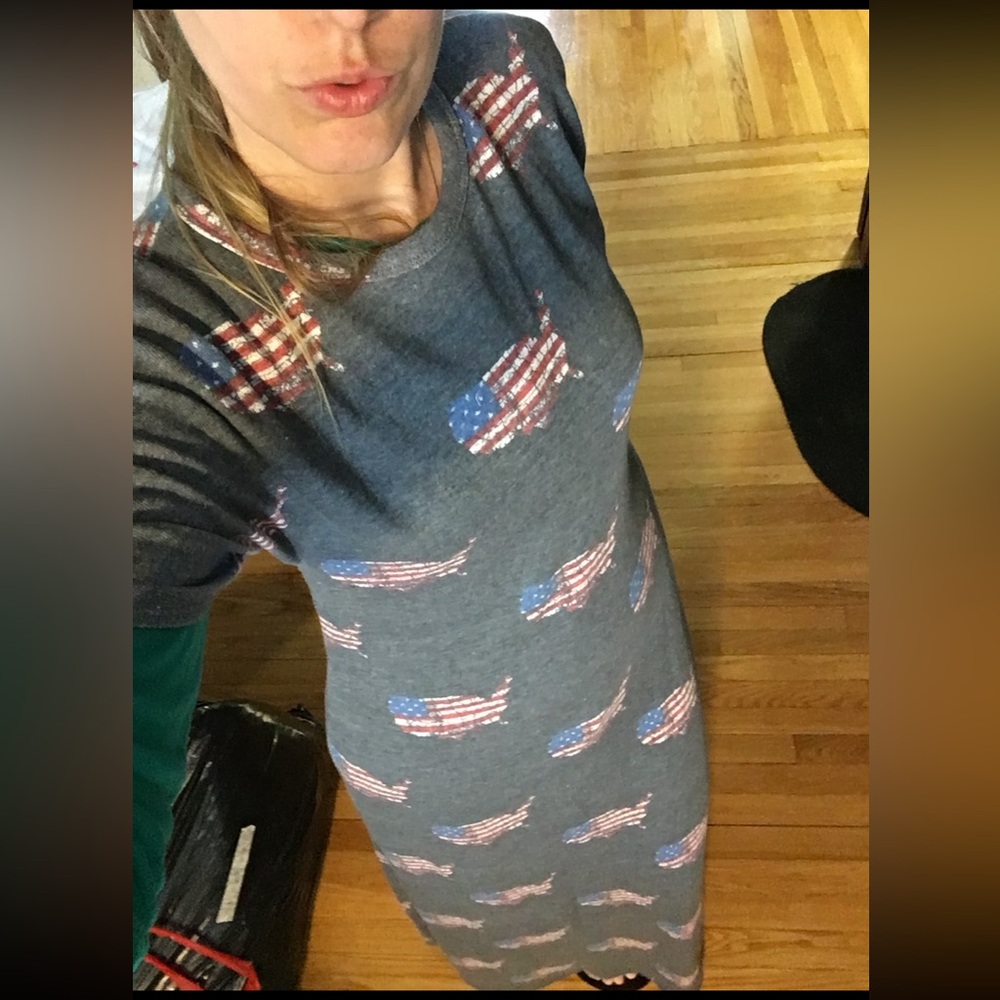 Lularoe Maria Sweater cap sleeve dress American flags
